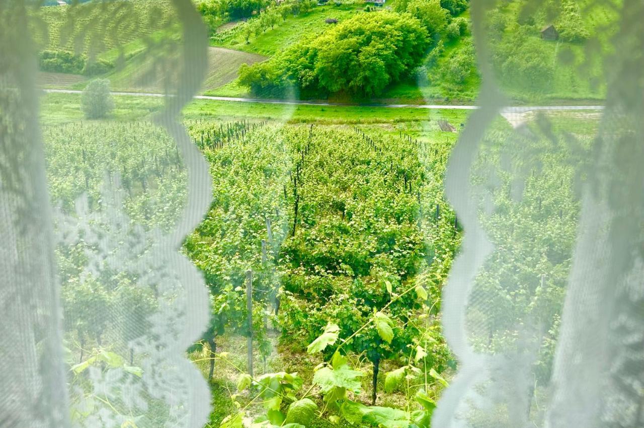 Wine Paradise Sveti Ivan Zelina Εξωτερικό φωτογραφία