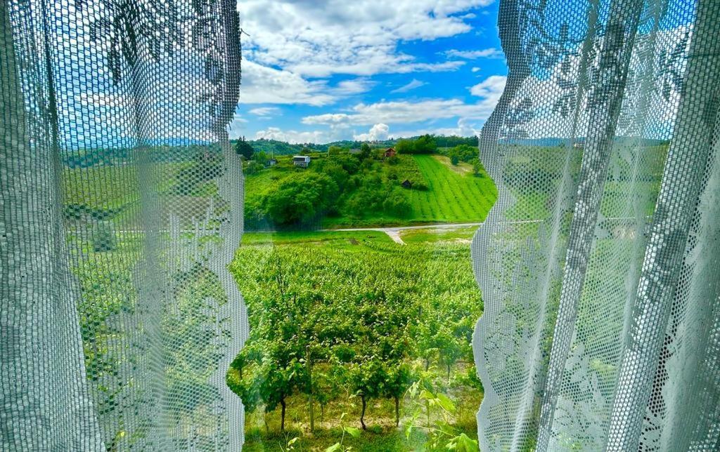 Wine Paradise Sveti Ivan Zelina Εξωτερικό φωτογραφία