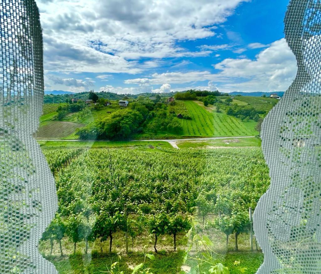 Wine Paradise Sveti Ivan Zelina Εξωτερικό φωτογραφία