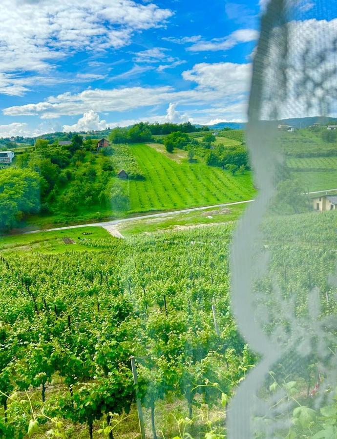 Wine Paradise Sveti Ivan Zelina Εξωτερικό φωτογραφία