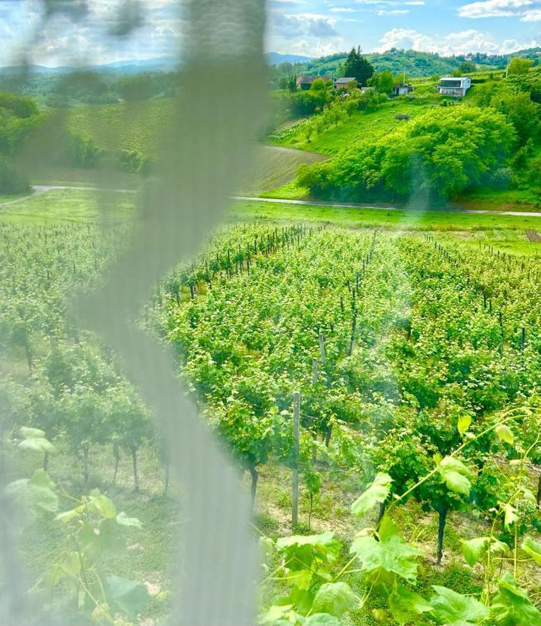 Wine Paradise Sveti Ivan Zelina Εξωτερικό φωτογραφία