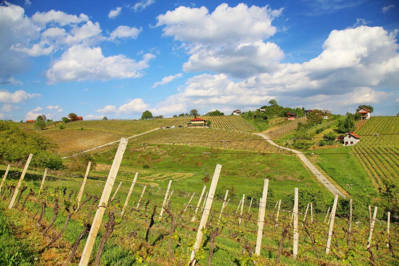 Wine Paradise Sveti Ivan Zelina Εξωτερικό φωτογραφία