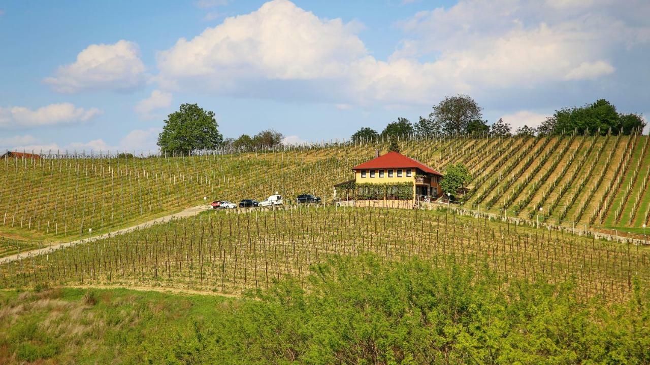 Wine Paradise Sveti Ivan Zelina Εξωτερικό φωτογραφία